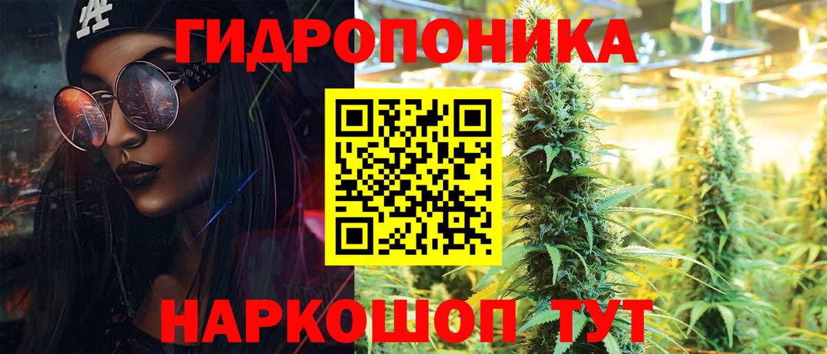 МАРИХУАНА план Свободный